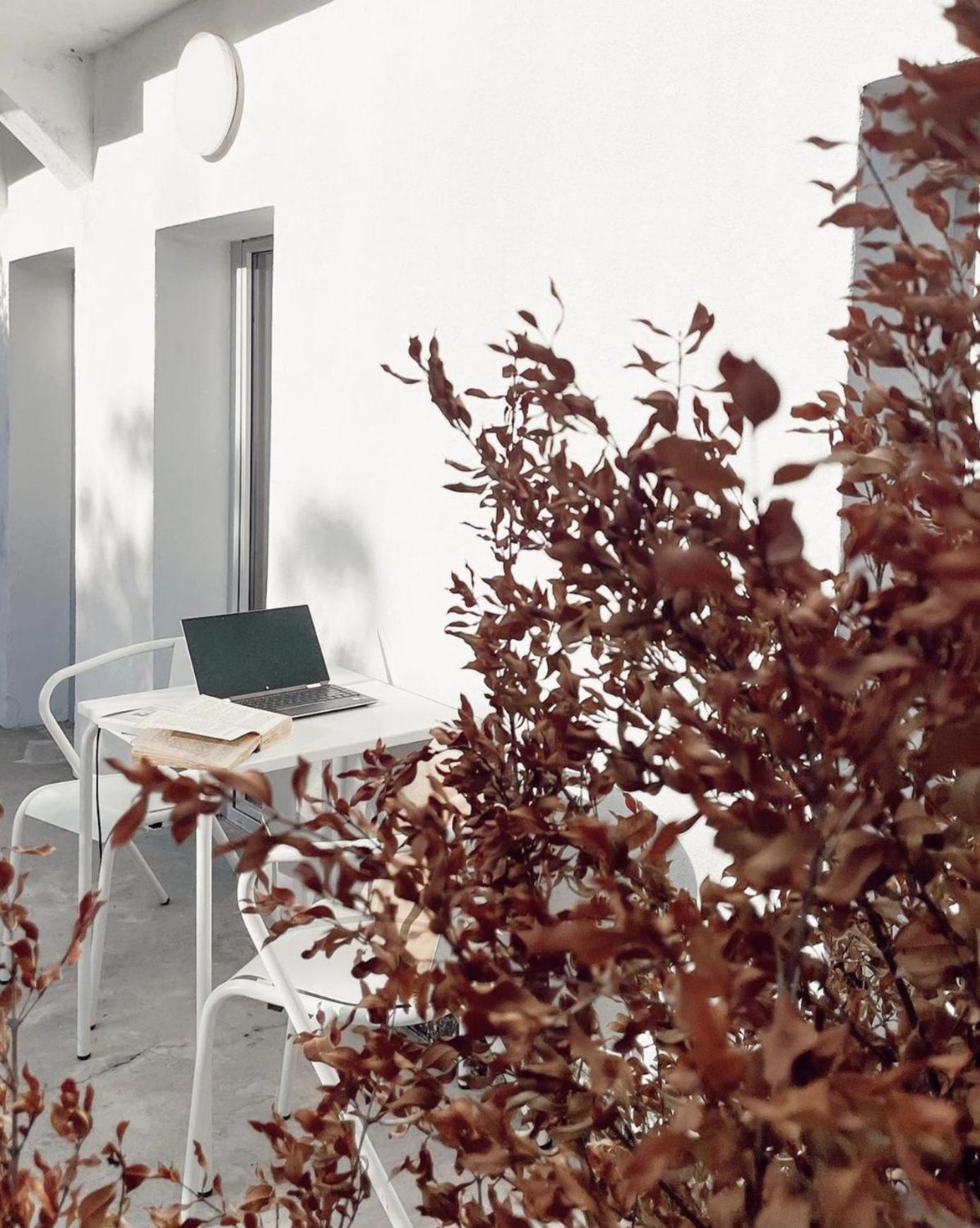 Apartament Cozy Lisbon Graça Zewnętrze zdjęcie
