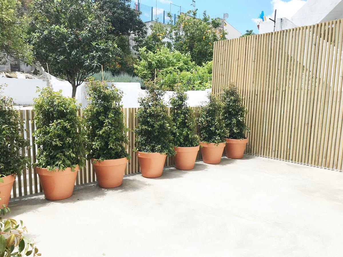 Apartament Cozy Lisbon Graça Zewnętrze zdjęcie
